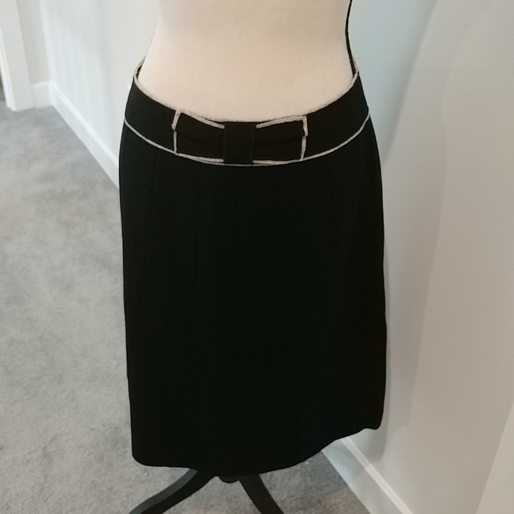 Ann Taylor skirt